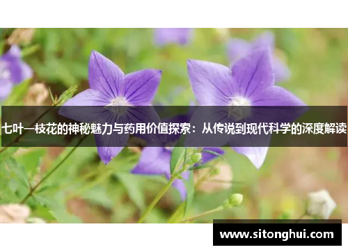 七叶一枝花的神秘魅力与药用价值探索：从传说到现代科学的深度解读