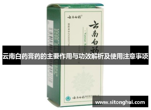 云南白药膏药的主要作用与功效解析及使用注意事项