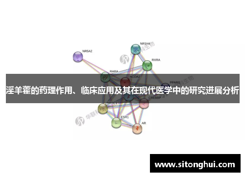淫羊藿的药理作用、临床应用及其在现代医学中的研究进展分析