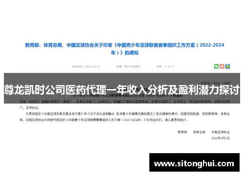 尊龙凯时公司医药代理一年收入分析及盈利潜力探讨