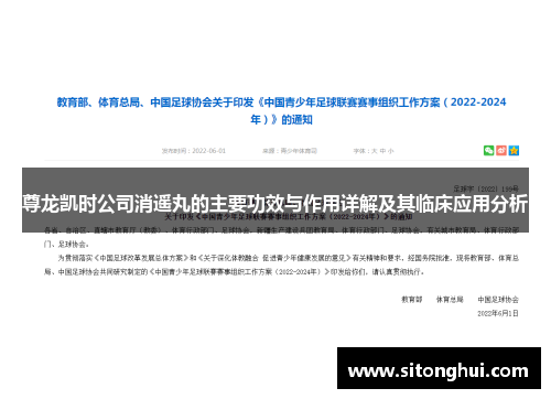 尊龙凯时公司消遥丸的主要功效与作用详解及其临床应用分析